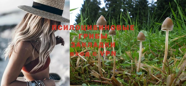 спайс Вязьма