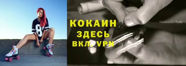 ALPHA-PVP Богородицк