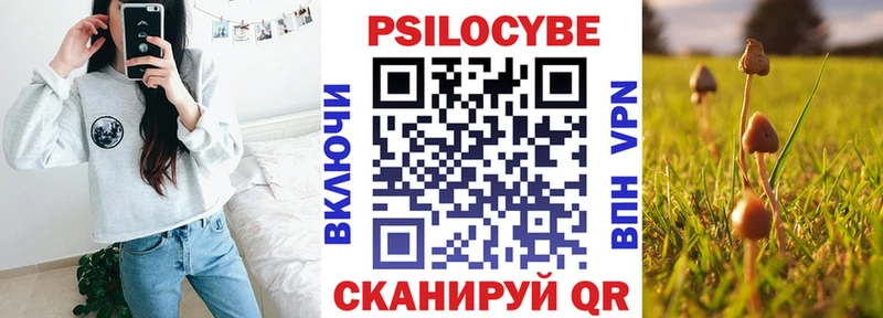 blacksprut вход  Острогожск  Псилоцибиновые грибы GOLDEN TEACHER  сколько стоит 
